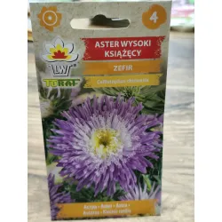 Aster wysoki książęcy Zefir